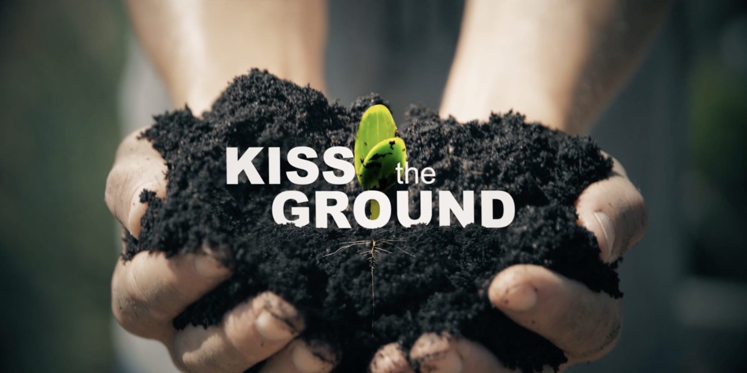 Поцеловала землю. Поцелуй земли. Земельный поцелуй что такое. Grounded Постер.